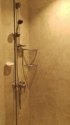 Pasadena (D11), Apartment #128759412